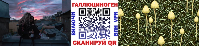 дарк нет официальный сайт  купить наркоту  Елизаветинская  Галлюциногенные грибы GOLDEN TEACHER 